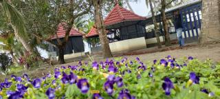 Cruise 'N Lake - Kumarakom - 7