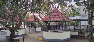 Cruise 'N Lake - Kumarakom - 6