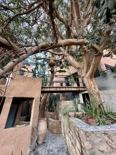 Khmisa - The Gem of Tamraght - 0