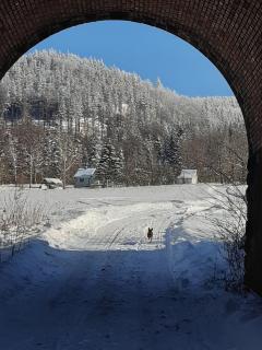 Gospodarstwo Zacisze-Alpaki - Kowary - 8