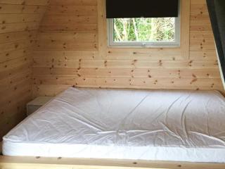 Bluebell - Uk41386 - Brixham - 3