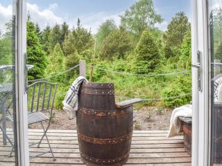 Spruce Shepherds Hut - Wilmslow - 9