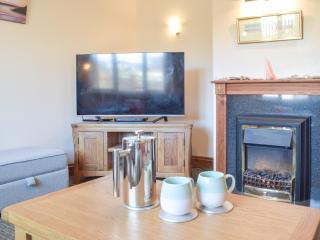 Ty Twt - Llandissilio - 8