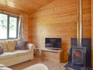 The Lodge - 7