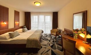 PRIMAVERA Hotel & Congress centre - Pilsen - 9