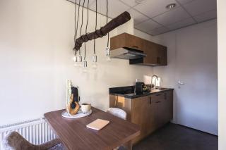 Tiny House 'Het Berkenhuisje' - Voorthuizen - 4