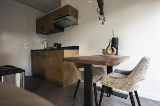 Tiny House 'Het Berkenhuisje' - Voorthuizen - 3