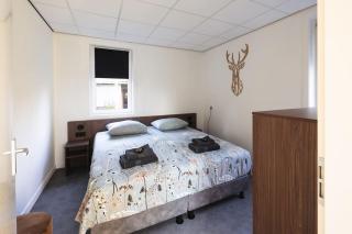 Tiny House 'Het Berkenhuisje' - Voorthuizen - 2