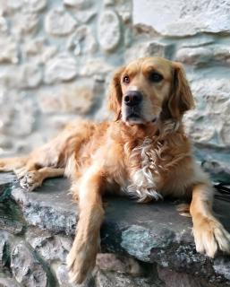 Hotel Rural La Vida de Antes - Consuegra - 4