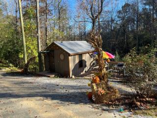 Herbal Essence, 420&Pets Yes - Gatlinburg - 4