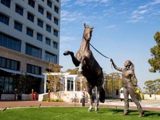 The William Inglis Mgallery - Warwick Farm - 3