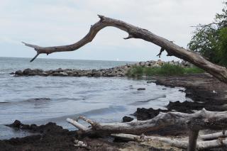 Ferienhaus Seebär - 1