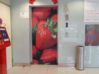 Hotel Strawberry Fields - 4