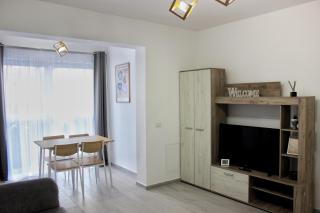 City Center Cozy Apartments near Shops and Restaurants in Suceava - Suceava - 7
