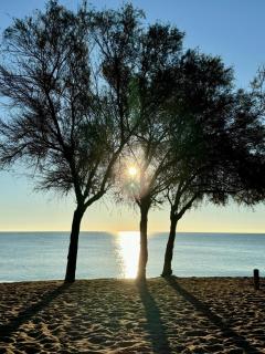 BADAROSA House10min to BARCELONA City&NearTo BEACH - 4