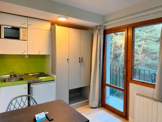 Apartamentos Midi 3000 - Formigal - 5