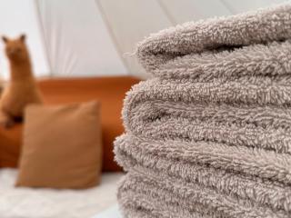 Privé Alpaca Glamping Hoogstraten - Meerle - 4
