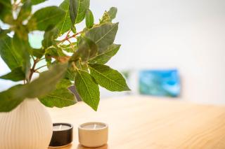 COMFY APARTMENT Wesseling - 2