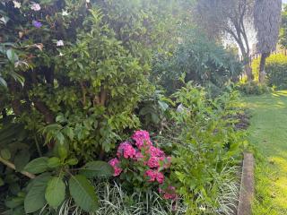 Horizon Bed and Breakfast - Roodepoort - 6