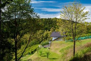 Zidanica sredi dolenjskih gričev - V gaj - 3