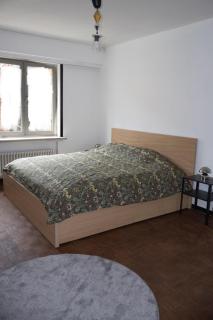 2BR & 1LR Apt Only 15 Mins to Gravensteen Castle - 0
