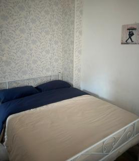 Les Fougères - Bois de Cise - 9