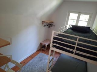 Les Fougères - Bois de Cise - 4