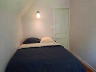 Les Fougères - Bois de Cise - 1