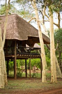 Ubizane Zululand Tree Lodge - Hluhluwe - 9