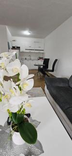 Apartman Deny - 2