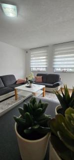 Apartman Deny - 3