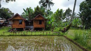 Galang Bungalow - Tetebatu - 2