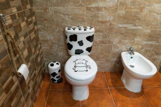 Azores Cow House - Calhetas - 3