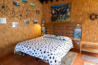Azores Cow House - Calhetas - 8