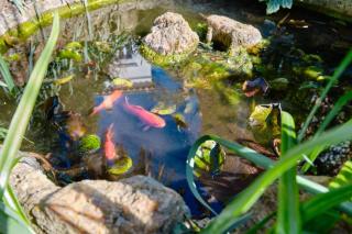 Apartments Old Sailor s House - 7