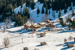 Alpzyt auf Axalp - Axalp - 4