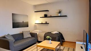 Kotimaailma Apartments - tilava saunallinen & parvekkeellinen kaksio - Verstaankatu - Tampere - 9