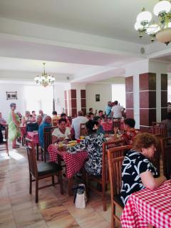 Hotel Silvana - Buziaş - 1