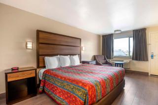 Rodeway Inn - Albany - 5