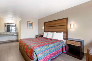 Rodeway Inn - Albany - 6