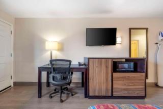 Rodeway Inn - Albany - 4