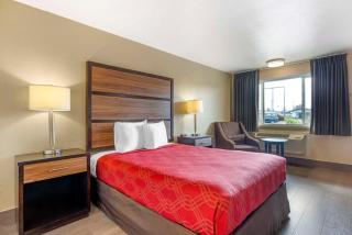 Rodeway Inn - Albany - 1