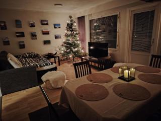 Make yourself at home - Rovaniemi - 7