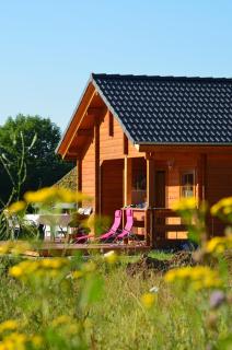 Ferienhaus Gross Nemerow - Groß Nemerow - 9