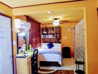 Cozy Studio Apartment-Free airport pickup and drop off - 2