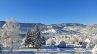 Kuća za odmor Pale - Jahorina - Pale - 9