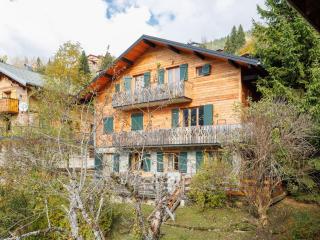 Apartment Fer à Cheval-3 by Interhome - Châtel - 0