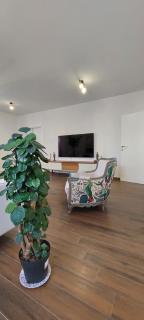 Njegoseva Central Apartment - Novi Sad - 8