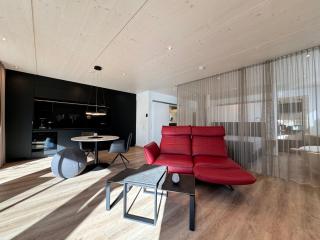 Schatzkiste Apartment 1 - Uhldingen-Mühlhofen - 0