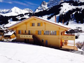 Apartment Butterfly by Interhome - Adelboden - 7